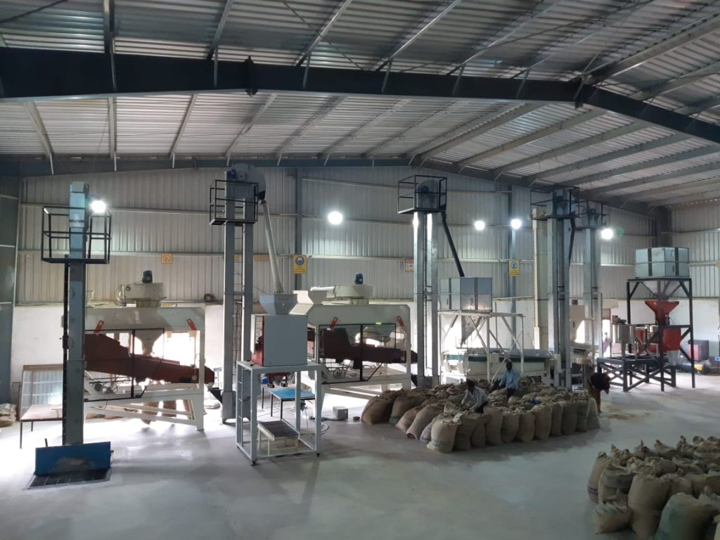 Vegetable Seed Processing And Packing