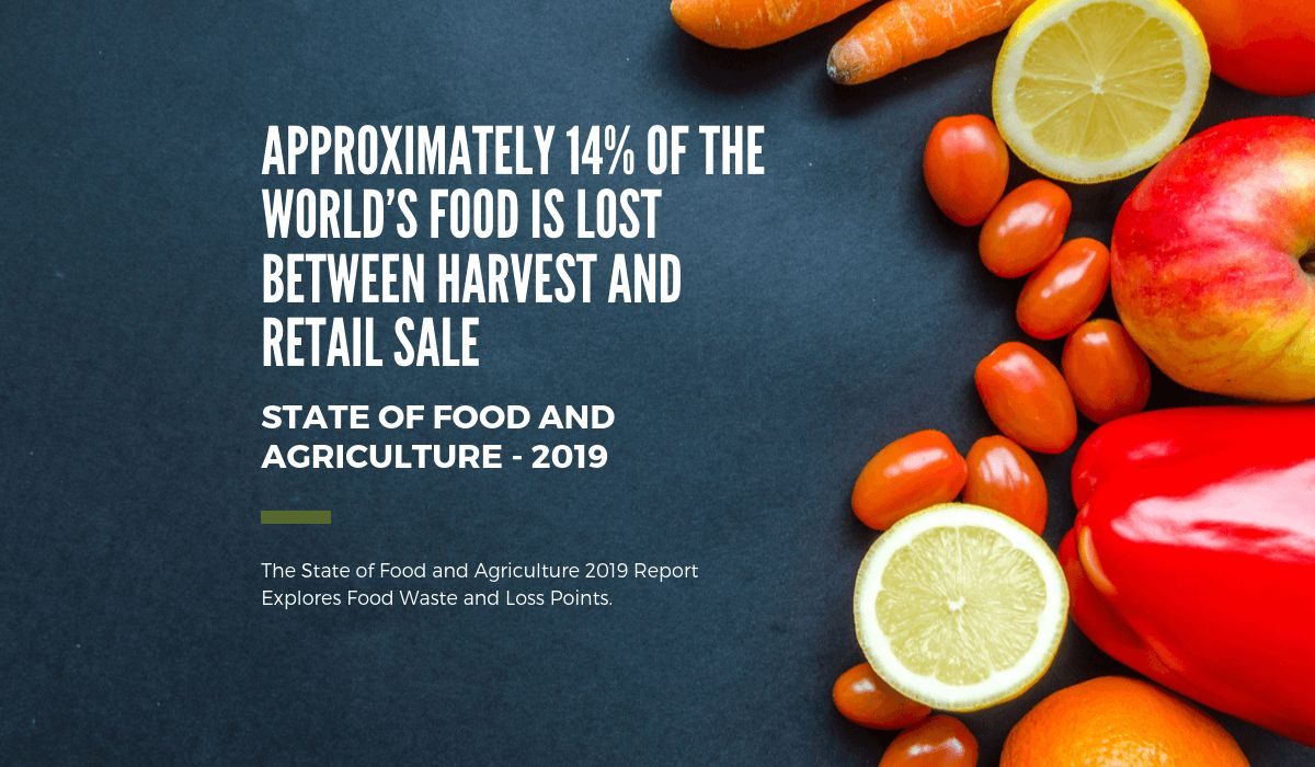 Approximately 14% of the world’s food is lost between harvest and retail sale- ‘State of Food and Agriculture’ (SOFA) report 2019