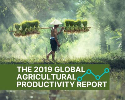 The 2019 Global Agricultural Productivity Report