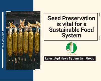 Seed preservation is vital for a sustainable food system