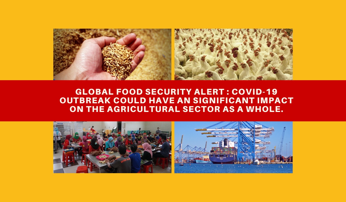 Global Food Security Alert : Covid-19 outbreak could have an significant impact on the agricultural sector as a whole.