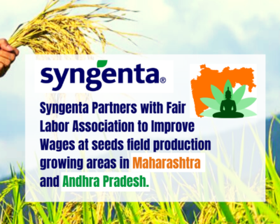 Syngenta Partners with Fair Labor Association to Improve Wages at seeds field production growing areas in Maharashtra and Andhra Pradesh.