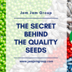 The Secret Behind The Quality Seeds