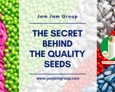 The Secret Behind The Quality Seeds