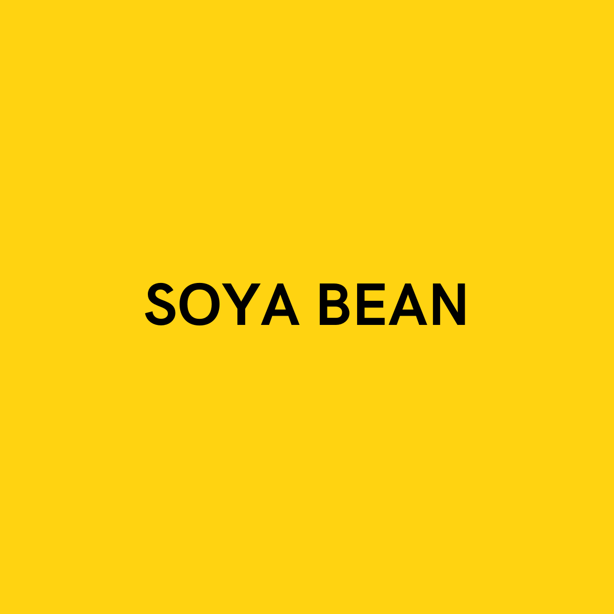 Soya Bean